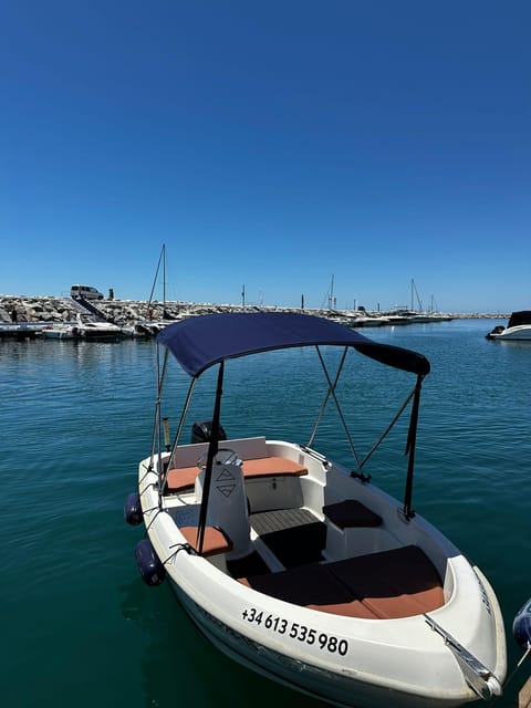Marbella: Puerto Banús Boat Rental with No License Needed - Dolphins are a welcome bonus, not a promise