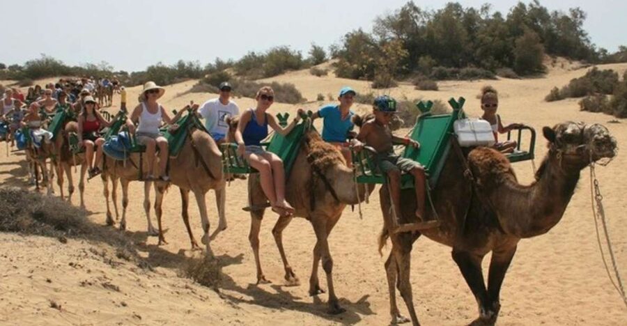 Maspalomas: Guided Camel Ride in the Maspalomas Sand Dunes - Why ride a camel in Maspalomas?
