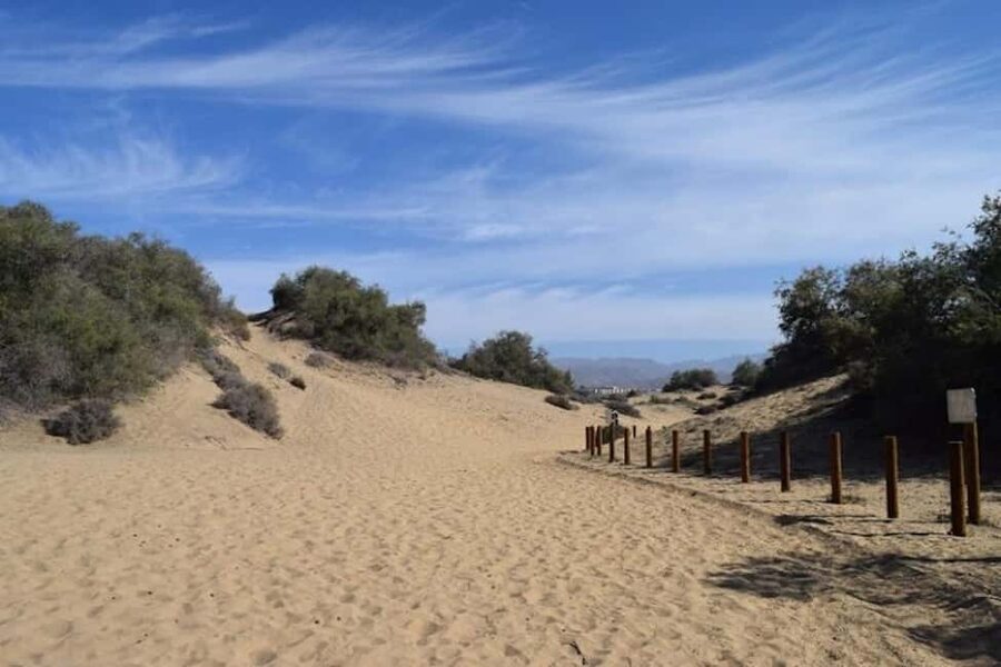 Maspalomas: Guided Camel Ride in the Maspalomas Sand Dunes - Who will enjoy this ride most?