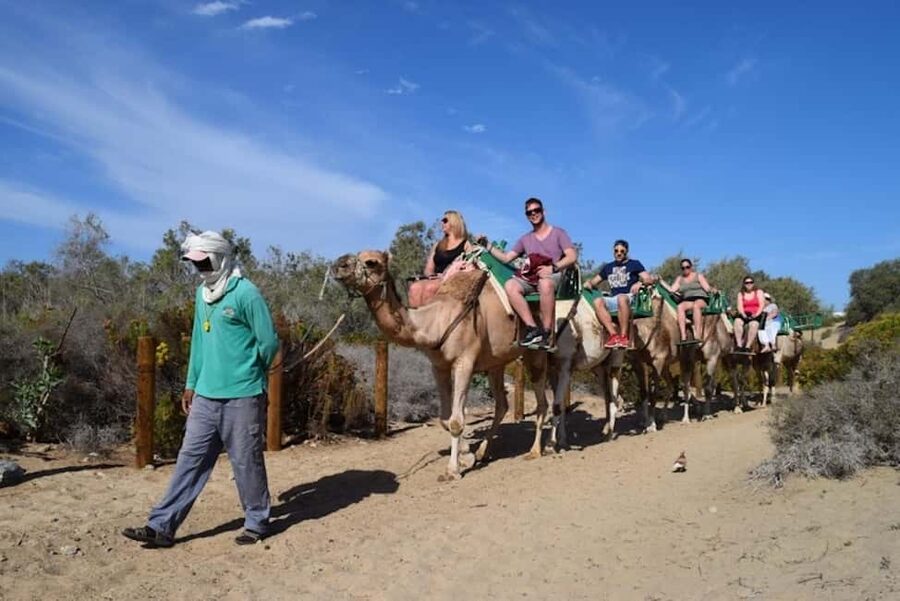 Maspalomas: Guided Camel Ride in the Maspalomas Sand Dunes - Practical booking advice