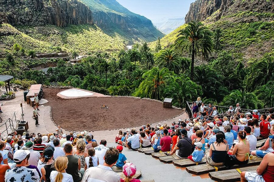 Maspalomas: Palmitos Park Ticket with Dolphin and Bird Shows - Reptiles include a rare Komodo dragon
