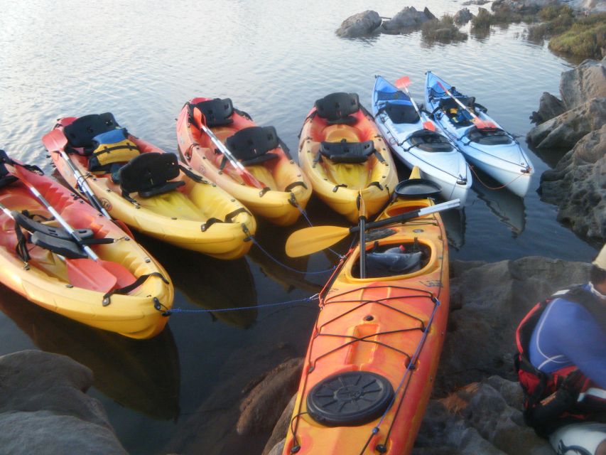 Menorca: Half-Day Kayak Excursion in Fornells - Cala Blanca and the Cave of the English Man
