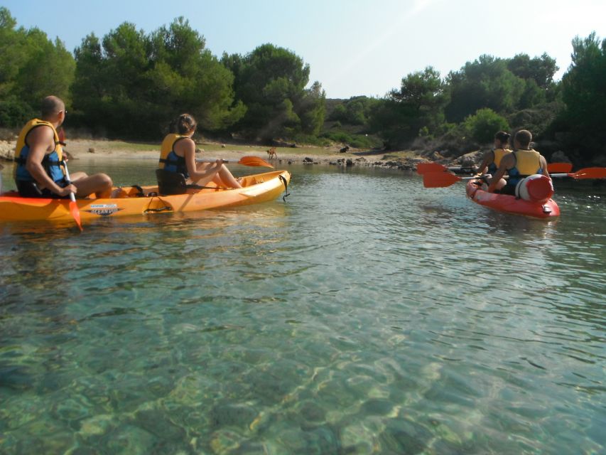 Menorca: Half-Day Kayak Excursion in Fornells - What the $53 price really buys