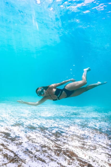 Menorca: Natural Coves and Beaches Boat Trip & Paella Lunch - Should you book it?