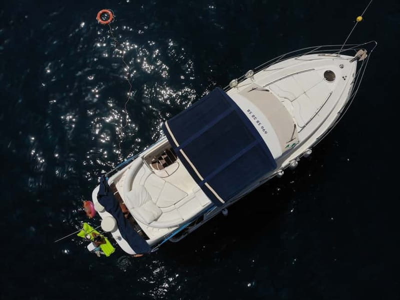 Mogan: Dolphin Watching Boat Trip with Swim Stop - The food stop: simple, local, and useful