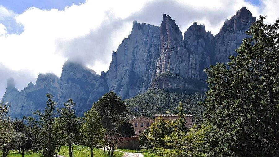 Montserrat & Cava Wineries Day Trip from Barcelona w/ Pickup - Lunch: useful, but ask questions first