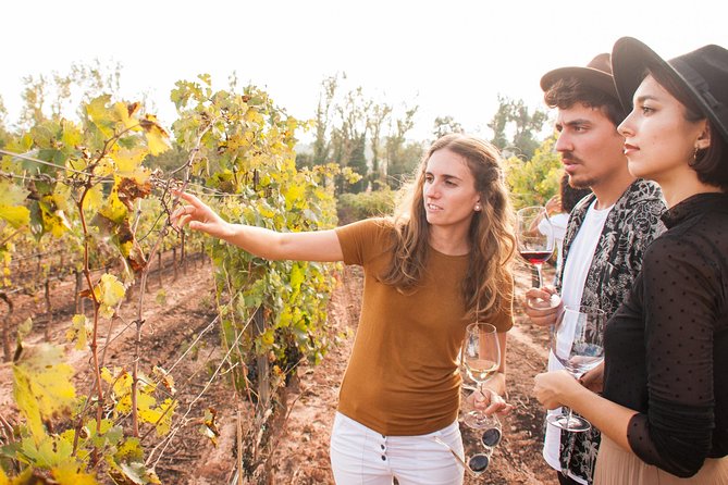 Montserrat & Cogwheel Train, Gourmet Wine Tasting & Tapas/Lunch - Visiting a 10th-century castle winery