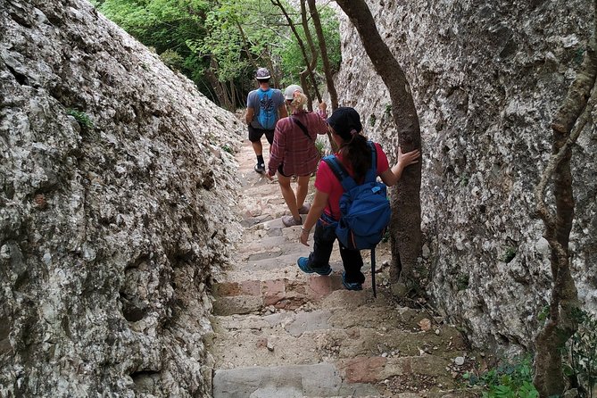 Montserrat Hiking Experience & Monastery Premium Small Group Tour - What the $90.80 price delivers