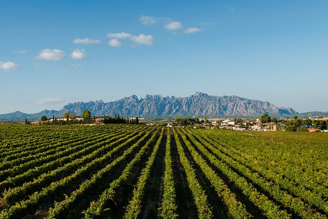 Montserrat,Vineyard, Wine Tasting Small Group Tour & Hotel Pickup - The Montserrat Museum for art lovers