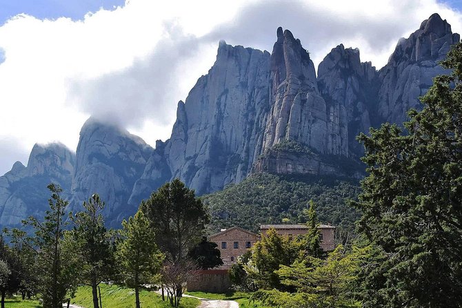 Montserrat,Vineyard, Wine Tasting Small Group Tour & Hotel Pickup - What the cava cellar visit is really like