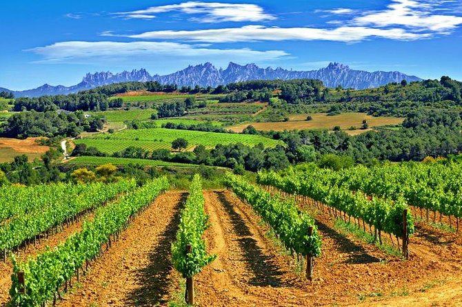 Montserrat,Vineyard, Wine Tasting Small Group Tour & Hotel Pickup - Small-group transport and guide quality