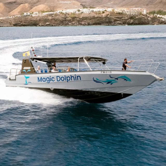 Morro Jable: Dolphin & Whale Watching Cruise, Drinks & Swim - Practical advice before you book