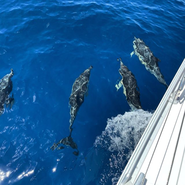 Morro Jable: Sailing Boat Excursion with Food and Drinks - Anchoring for swimming and snorkeling