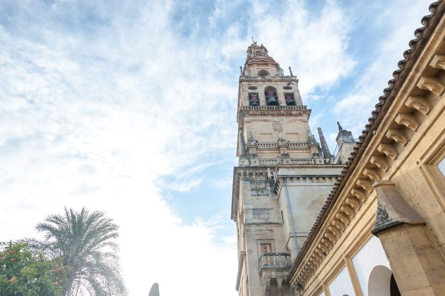 Mosque-Cathedral of Córdoba Guided Tour with Tickets - Entering the forest of columns