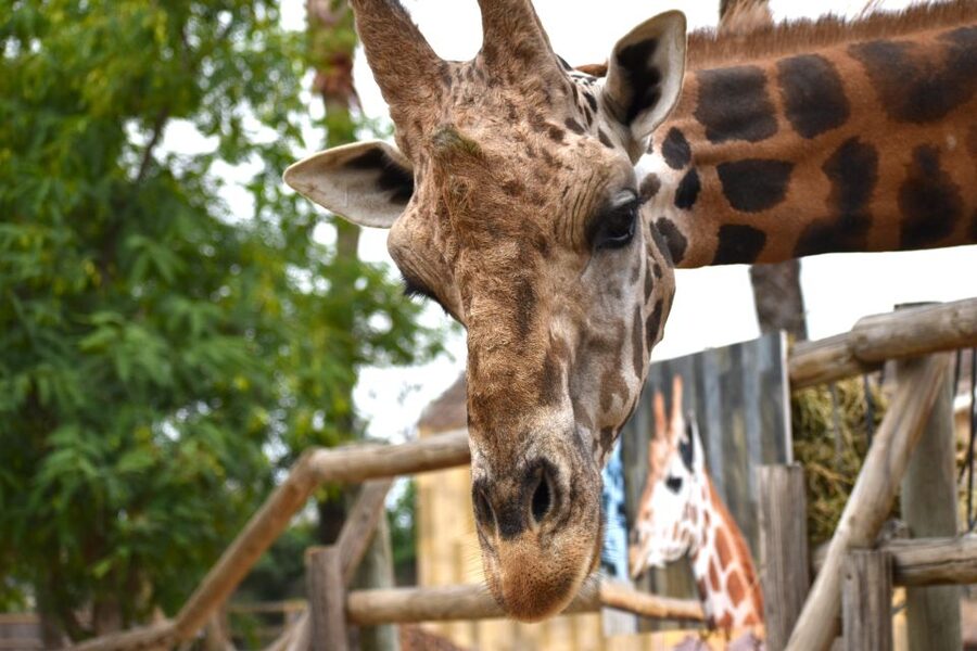Murcia: Terra Natura Murcia Ticket Entry - Key points to know before you go
