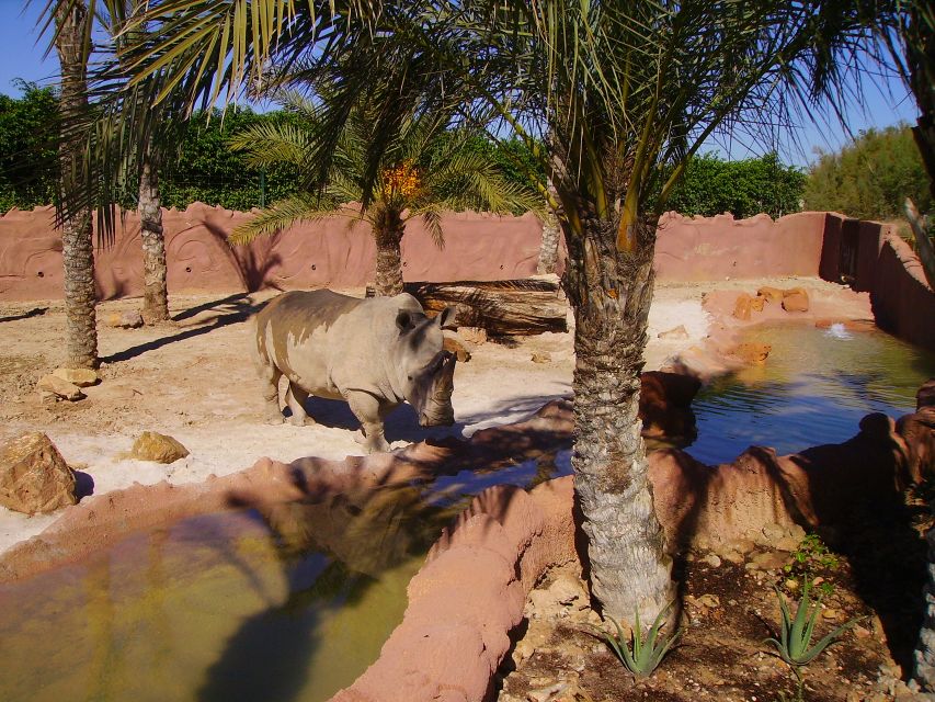 Murcia: Terra Natura Murcia Ticket Entry - Shows, talks, and hands-on activities
