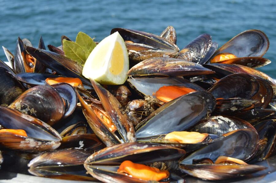 O Grove: Ría de Arousa Catamaran Tour with Seafood Lunch - Wine, Soft Drinks, and Entertainment Included