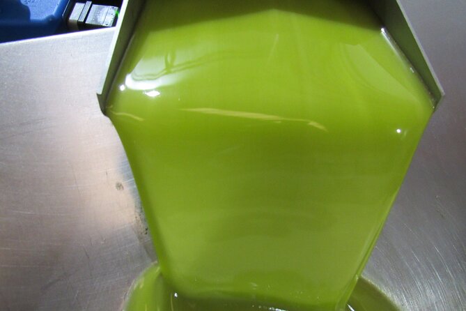 Oil tourism in Pulpí Discover the World of EVOO - The premium EVOO tasting