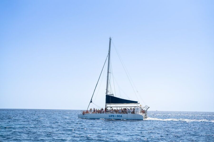 Palma: Catamaran Cruise with Swimming and Snorkelling - From Playa del Arenal to Palma Bay