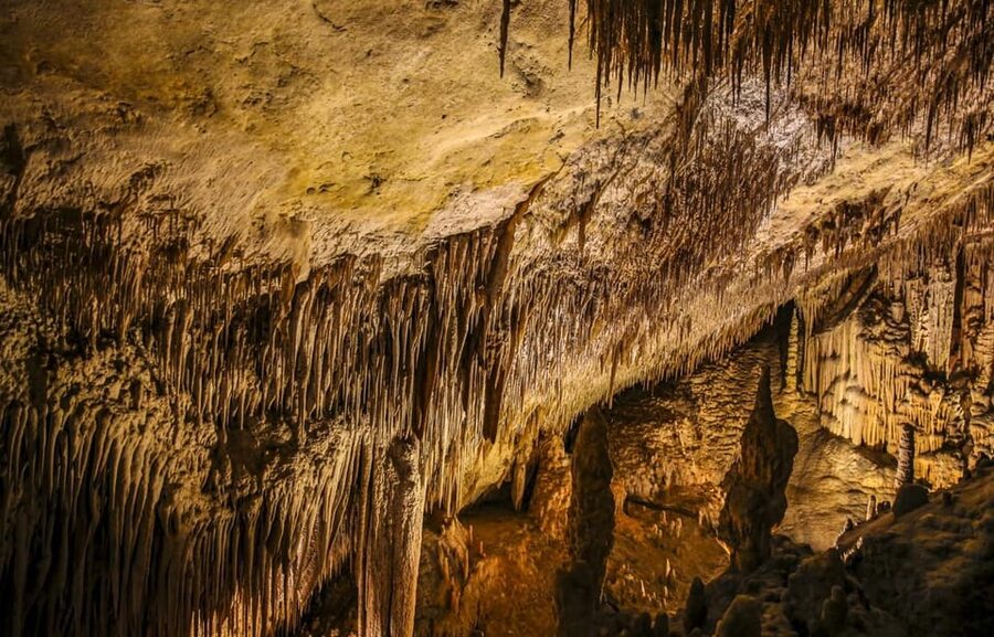 Palma: Caves of Drach Entrance, Music Concert, and Boat Trip - Key points to know before booking