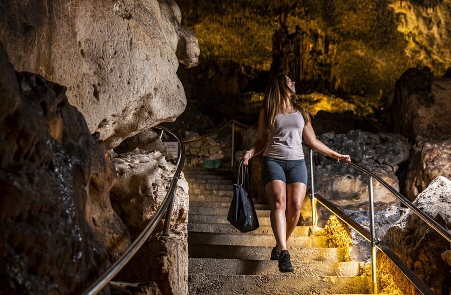 Palma: Caves of Drach Entrance, Music Concert, and Boat Trip - The classical concert beside Lake Martel