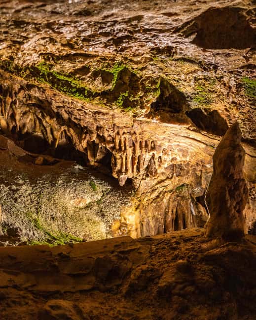 Palma: Caves of Genova Ticket & Digital Informational Video - The short video before you go below