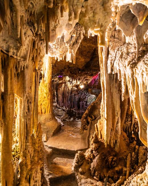 Palma: Caves of Genova Ticket & Digital Informational Video - How much value do you get for $14?