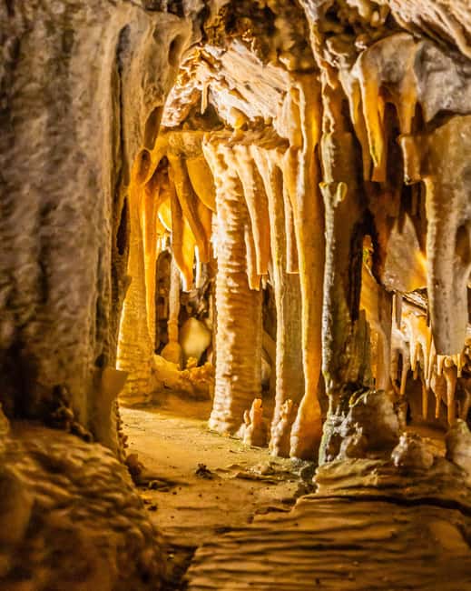 Palma: Caves of Genova Ticket & Digital Informational Video - Who will enjoy this visit most?