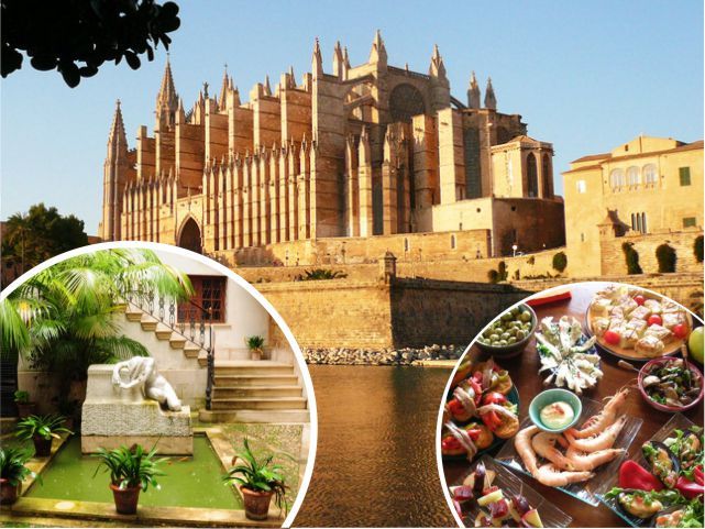 Palma de Mallorca: Guided Tour of the Old Town - Key points to know before you book