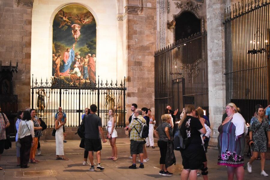 Palma de Mallorca: Old Town and Cathedral Tour - Guide quality and group comfort