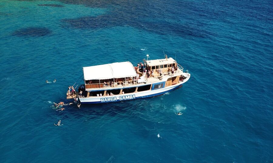 Palma de Mallorca: Palma Bay Boat Tour with Snorkeling - How to get the best value from the $47 price