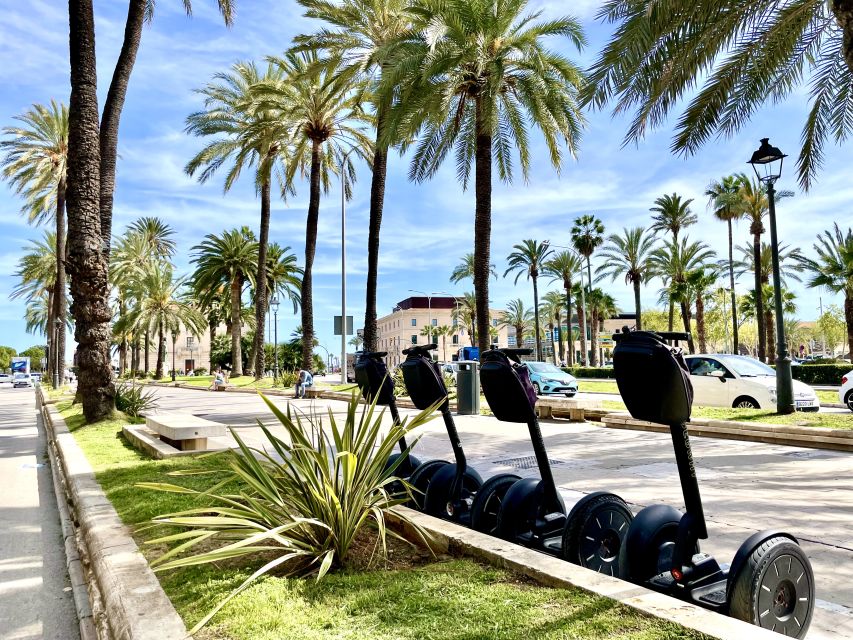 Palma de Mallorca: Sightseeing Segway Tour with Local Guide - Parc de la Mar and Palma’s best photo stop
