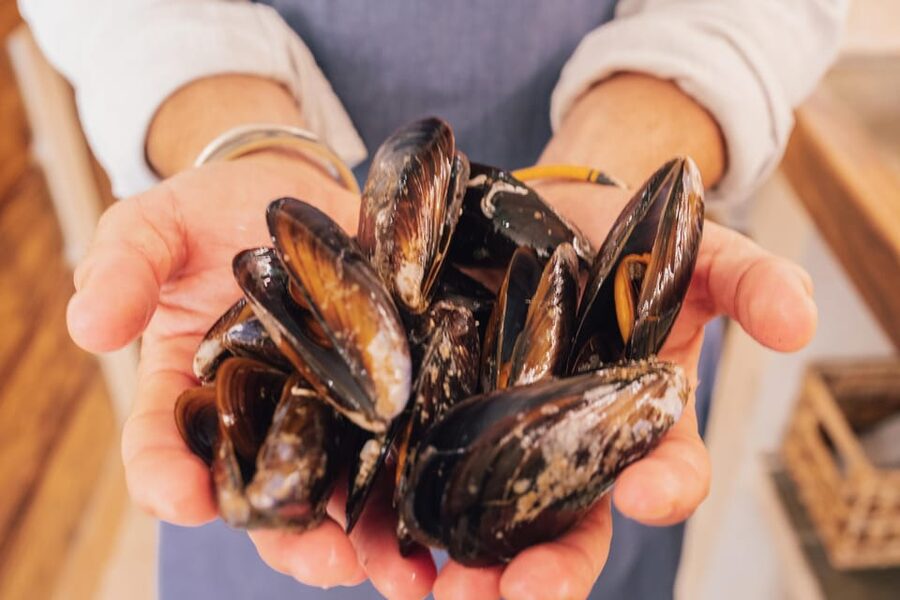 Palma de Mallorca: Spanish Cooking Experience - Who should book this cooking class?