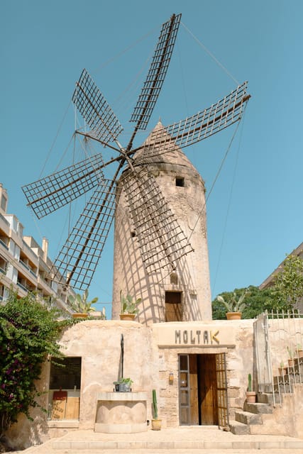 Palma de Mallorca: Spanish Cooking Experience - What you cook during the three-hour class