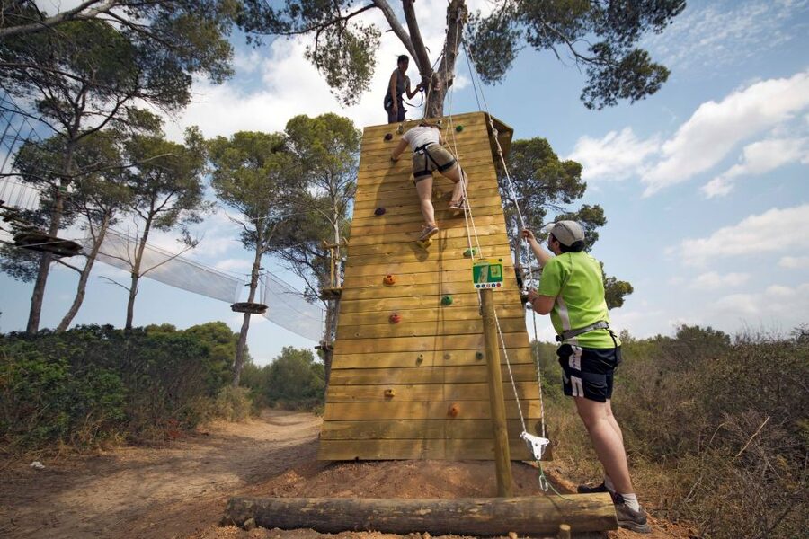 Palma: Family or Sports Course Adventure at Forestal Park - Key Points Before You Book