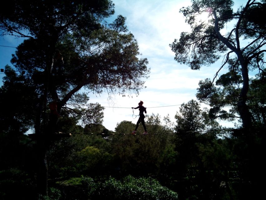 Palma: Family or Sports Course Adventure at Forestal Park - The Sport Course: Five Routes for Stronger Nerves