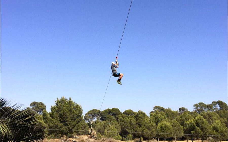 Palma: Family or Sports Course Adventure at Forestal Park - Safety, Instructors, and the Clip System