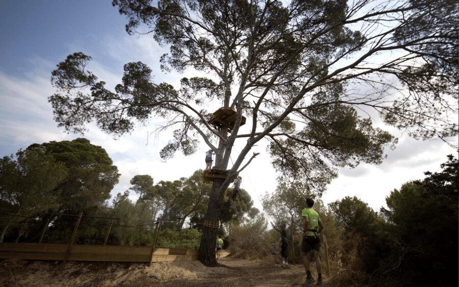 Palma: Family or Sports Course Adventure at Forestal Park - Clothing, Food, and Comfort Tips