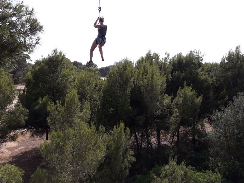 Palma: Family or Sports Course Adventure at Forestal Park - Is $31 Per Person Good Value?