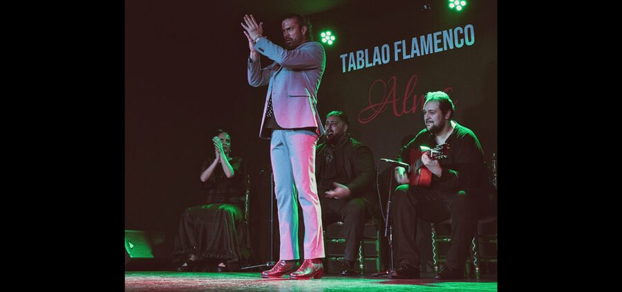 Palma: Flamenco Show at Tablao Flamenco Alma with Drink - What happens during the one-hour show