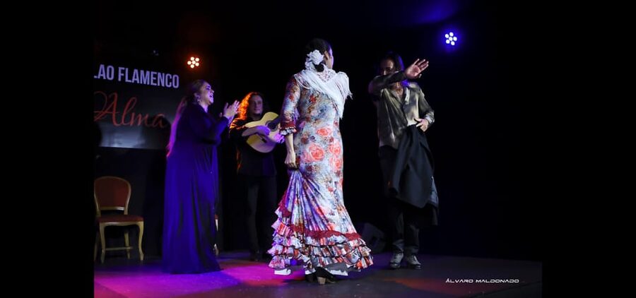Palma: Flamenco Show at Tablao Flamenco Alma with Drink - The dancers bring the emotion