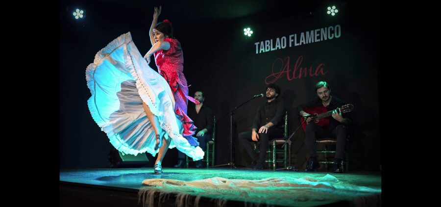 Palma: Flamenco Show at Tablao Flamenco Alma with Drink - Is this a good choice for children?