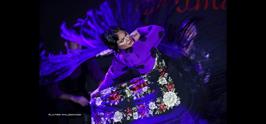 Palma: Flamenco Show at Tablao Flamenco Alma with Drink - What the audience experience feels like