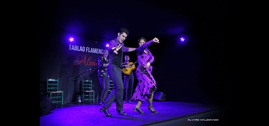 Palma: Flamenco Show at Tablao Flamenco Alma with Drink - Why the guitar deserves your attention