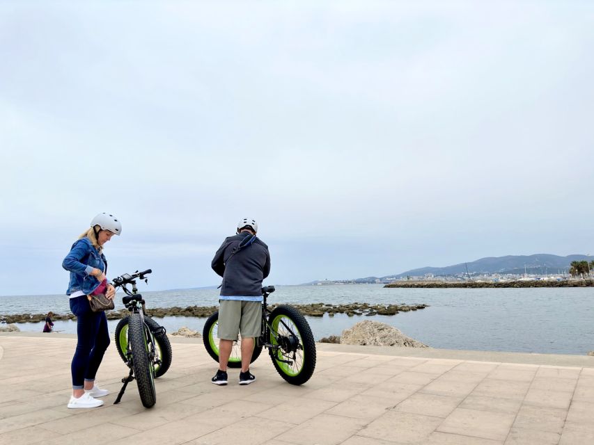 Palma: Guided City Tour with a Fat Tire E-Bike - Palma Cathedral, the Cathedral of Light