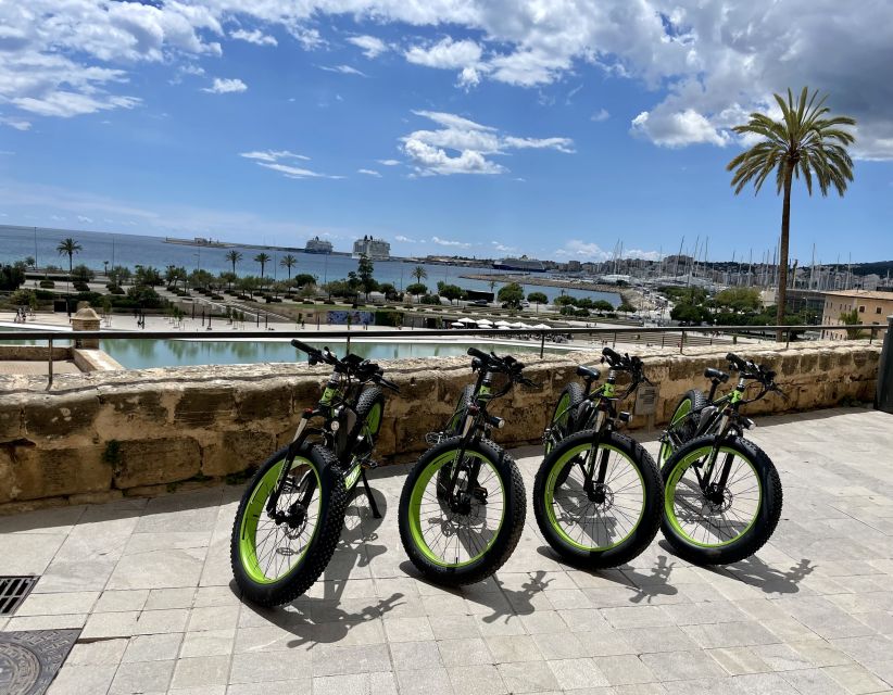 Palma: Guided City Tour with a Fat Tire E-Bike - From the Cathedral to the Beach Promenade