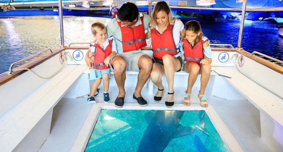 Palma: Palma Aquarium Ticket with Transfer Service - What You Actually Get for $39