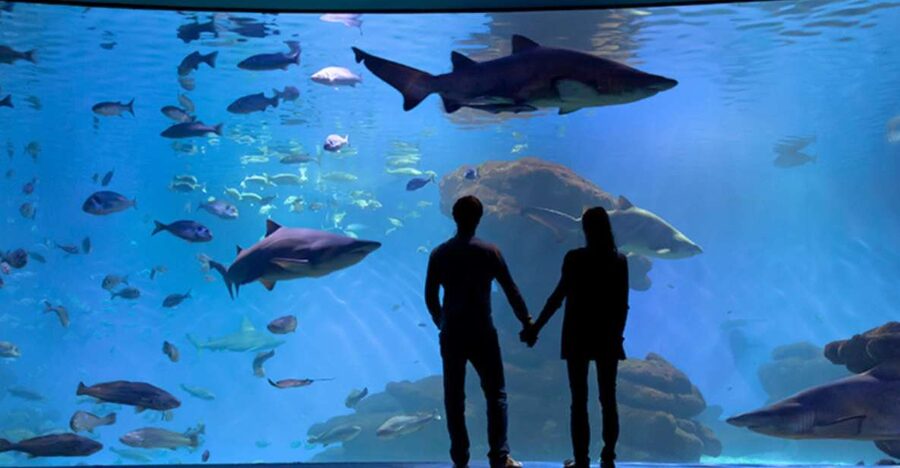 Palma: Palma Aquarium Ticket with Transfer Service - Entering Palma Aquarium and Following the 1-Kilometer Route