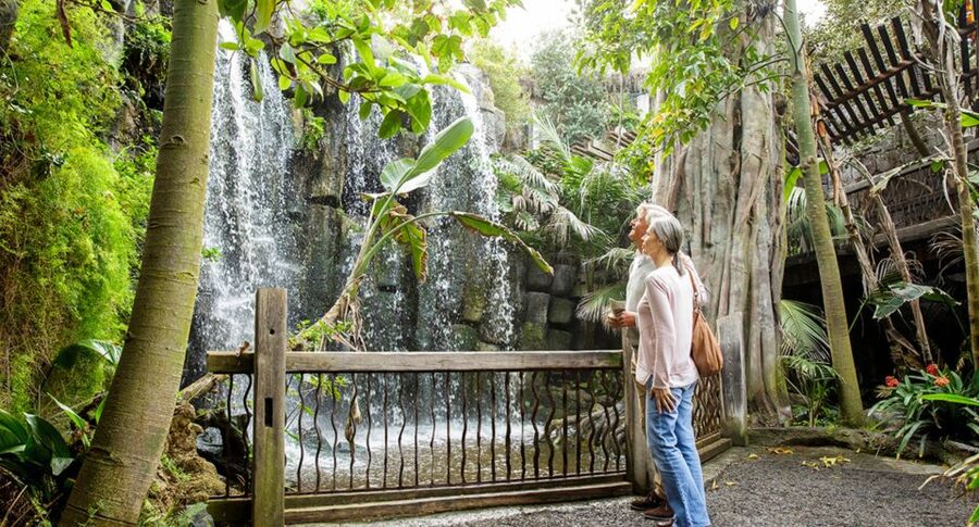 Palma: Palma Aquarium Ticket with Transfer Service - Optional Extras and Food Stops