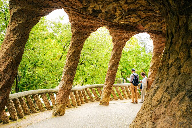 Park Güell Skip-the-Line Guided Tour Barcelona - What this Park Güell tour is really like